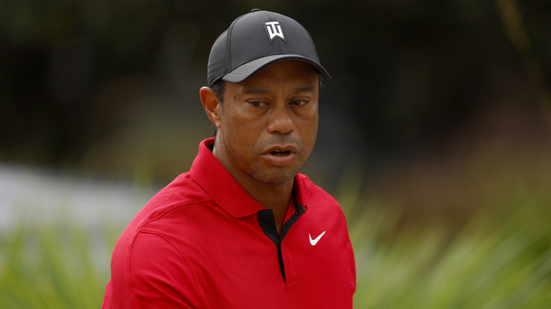 Tiger Woods looking at the green in Florida
