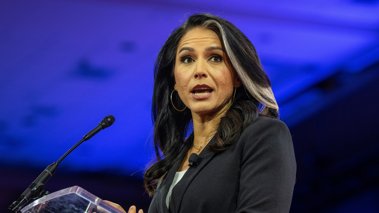 <a href="https://www.thelist.com/1727067/tragic-details-about-tulsi-gabbard/" target="_blank">Tragic Details Of Tulsi Gabbard’s Life</a>
