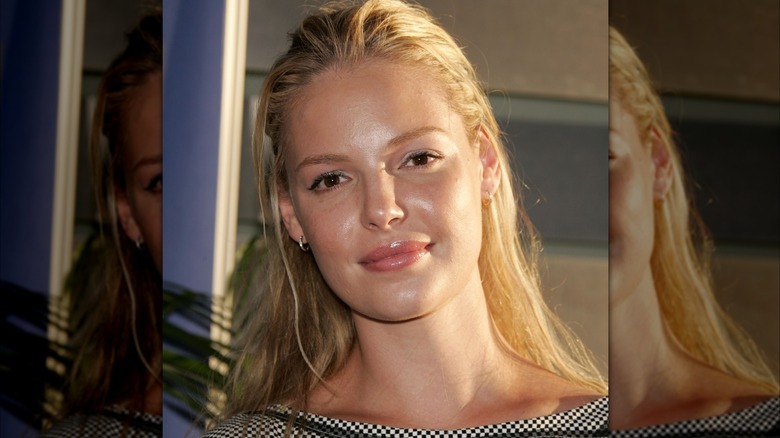 Katherine Heigl at the ABC Summer Press Tour party