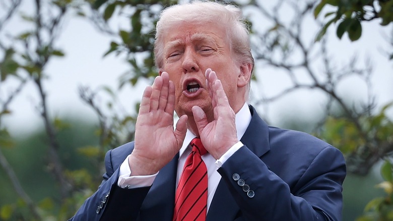 Donald Trump shouts answers to reporters as he tours the roof of the West Wing of the White House (2025)