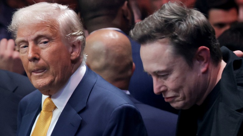 Donald Trump and Elon Musk watch the Ultimate Fighting Championship in Miami, FL (2025)