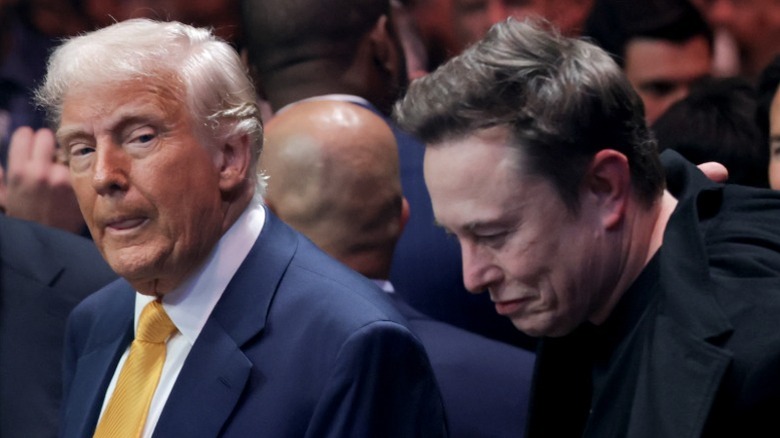 Donald Trump and Elon Musk prepare to watch a UFC match in Miami, FL (2025)