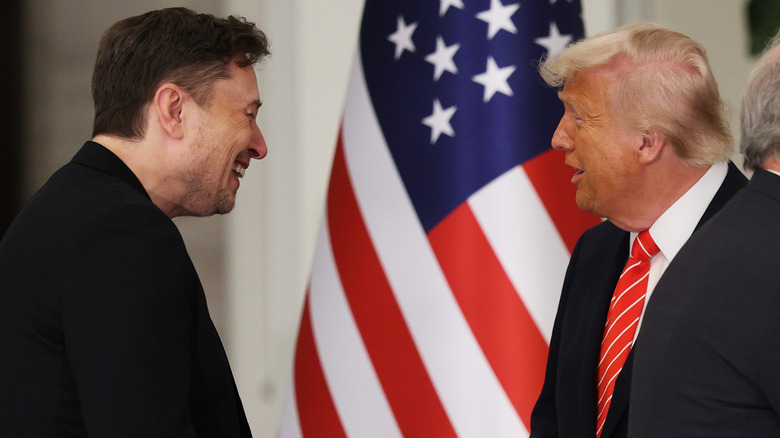 Elon Musk talking to Donald Trump