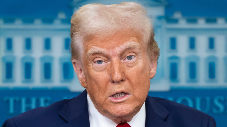 President Donald Trump speaks at press briefing