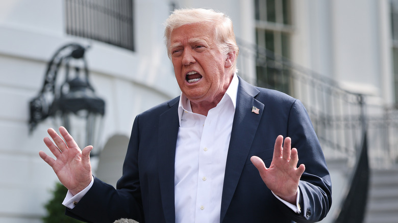 President Donald Trump outside the White House