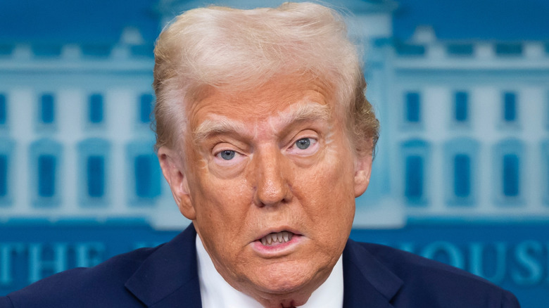 Donald Trump at a White House press briefing in January 2025