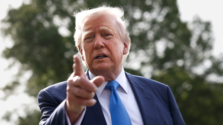 Donald Trump pointing