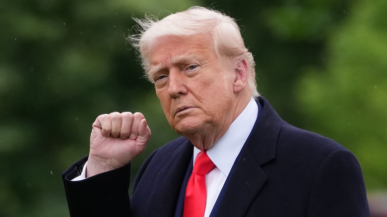 Donald Trump with a raised fist
