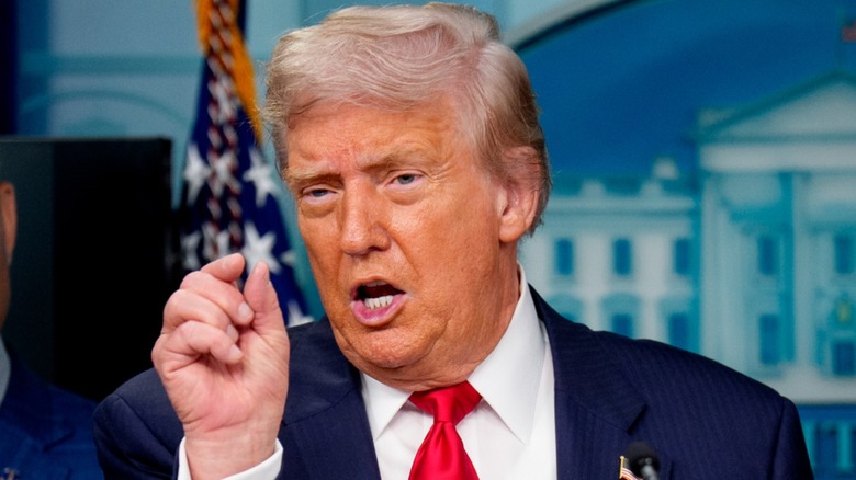 Donald Trump speaks during a news conference in the White House (2025)