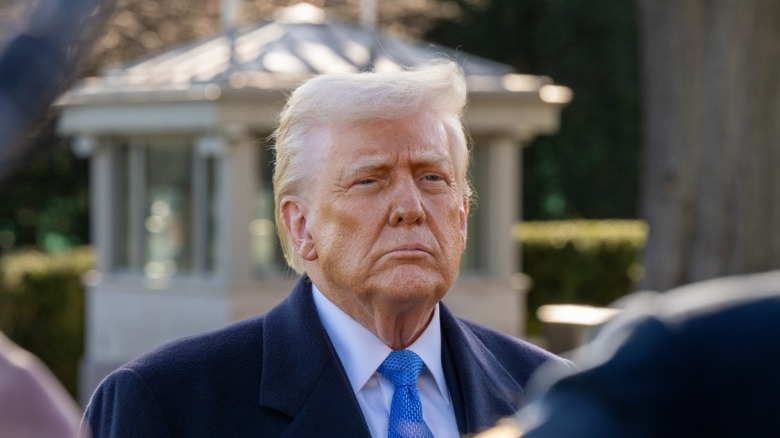 Donald Trump speaks with the media before boarding Marine One in Washington, DC (2025)