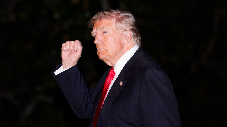 Donald Trump holding his fist in the air