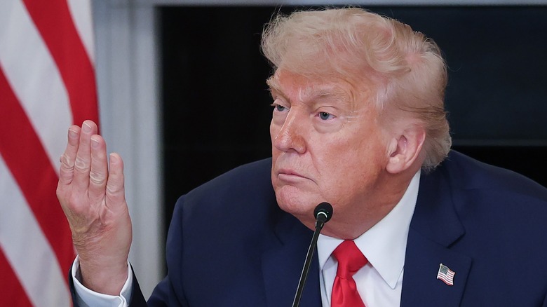 Donald Trump at microphone holding hand up