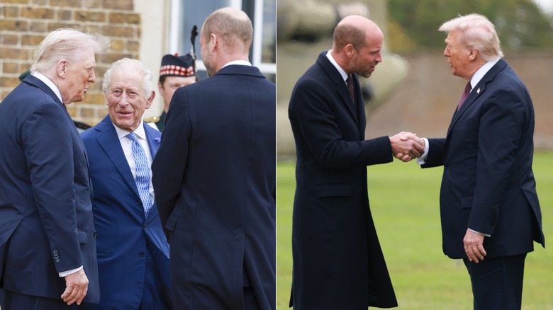 Donald Trump shakes hands with Prince William