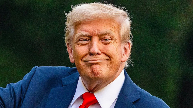 Donald Trump smirking at the camera