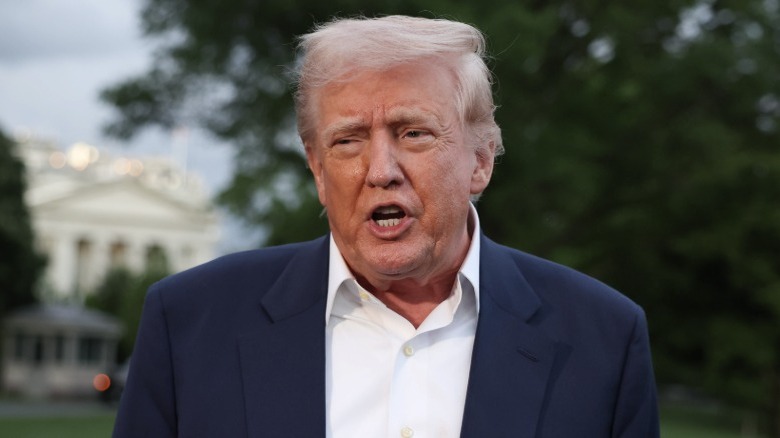 Donald Trump speaking outside the White House