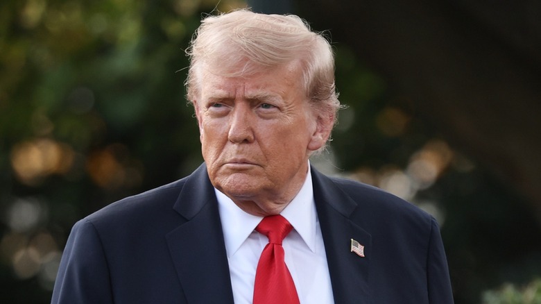 Donald Trump walks towards reporters outside the White House in Washington, DC (2025)
