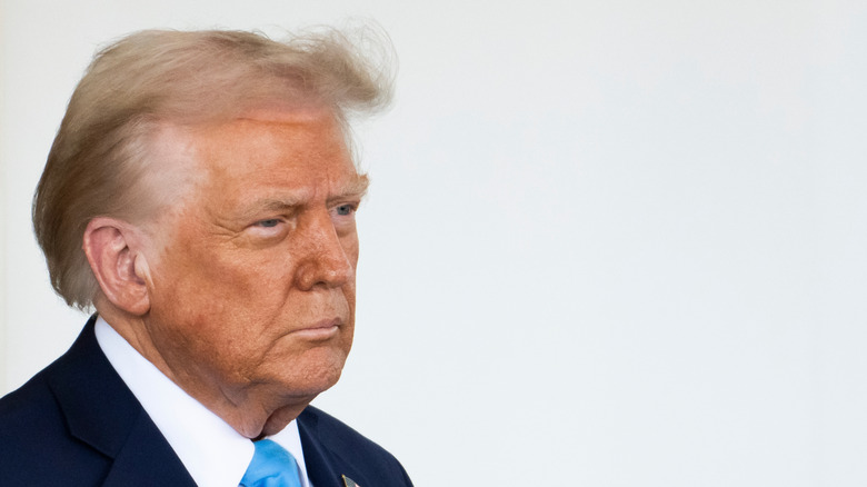 Donald Trump at the White House