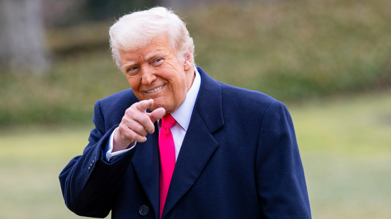 Donald Trump smiles and points
