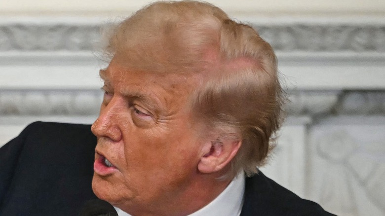 Donald Trump looking right large bald area