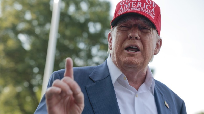 Donald Trump speaks to reporters on the South Lawn of the White House (2025)