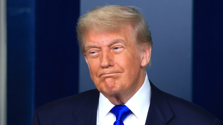 Donald Trump at a press conference at the White House discussing Supreme Court rulings (2025)