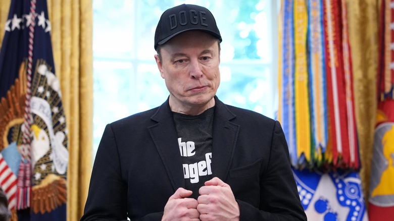 Elon Musk stands in the Oval Office