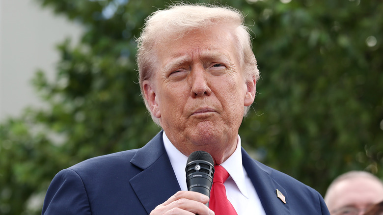 Donald Trump speaking into microphone