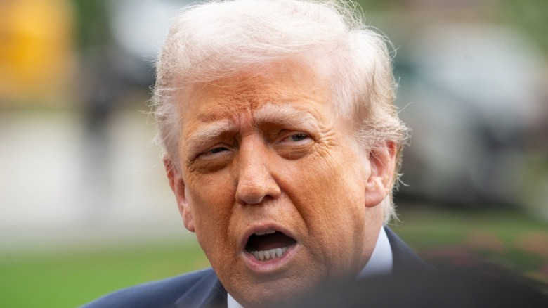 Donald Trump greets Benjamin Netanyahu at the White House in Washington, DC (2025)