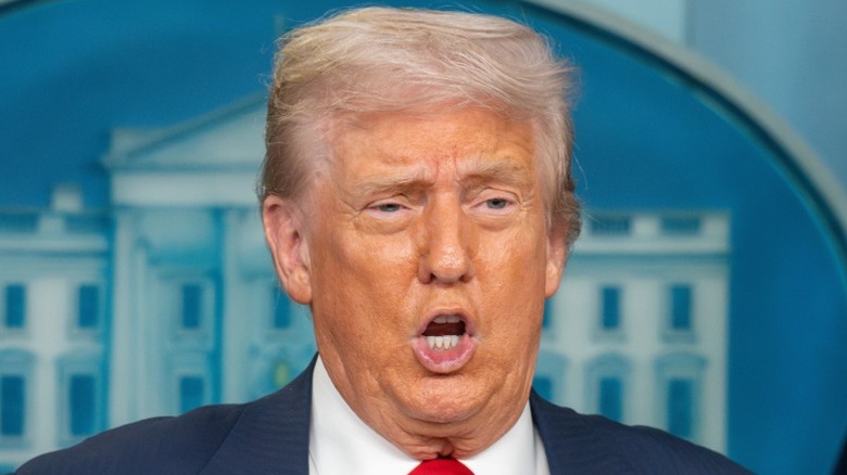 Donald Trump holds a press briefing to announce invoking the Home Act in Washington, DC (2025)