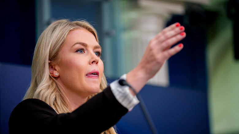 Karoline Leavittt during the July 7, 2025 White House press briefing