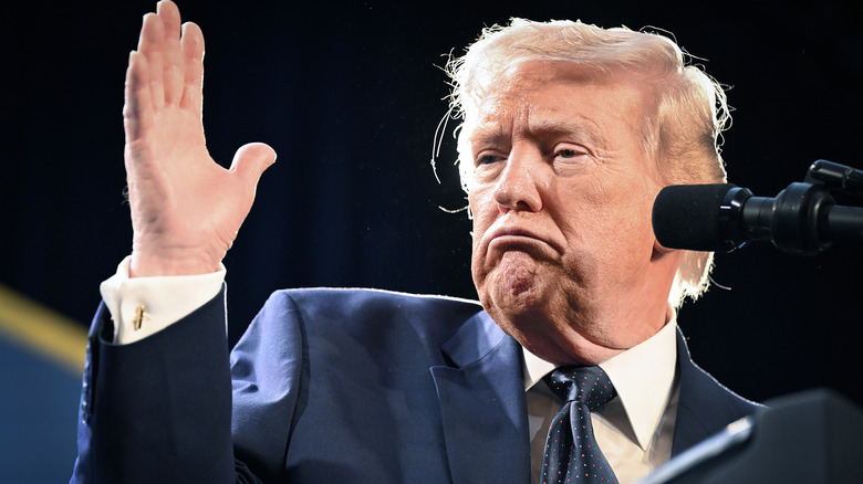 With downturned lips, Donald Trump stares at his upraised hand.