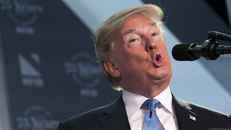 Donald Trump wears a blue and pink striped tie and sticks out his lips while speaking into a microphone.