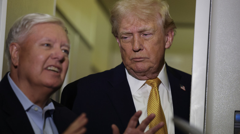 Donald Trump watches Lindsey Graham speak on Air Force One.