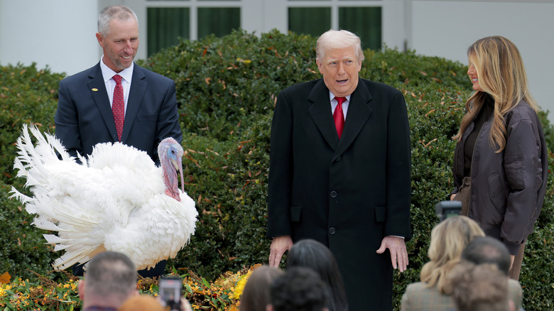 Donald Trump stands with his shoulders up and his arms stiff at his sides while pardoning Gobble the Turkey.