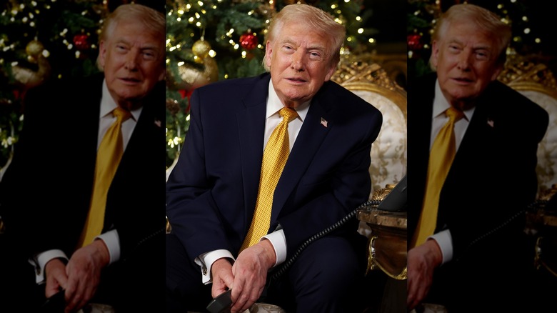 Donald Trump holding phone Christmas tree in background