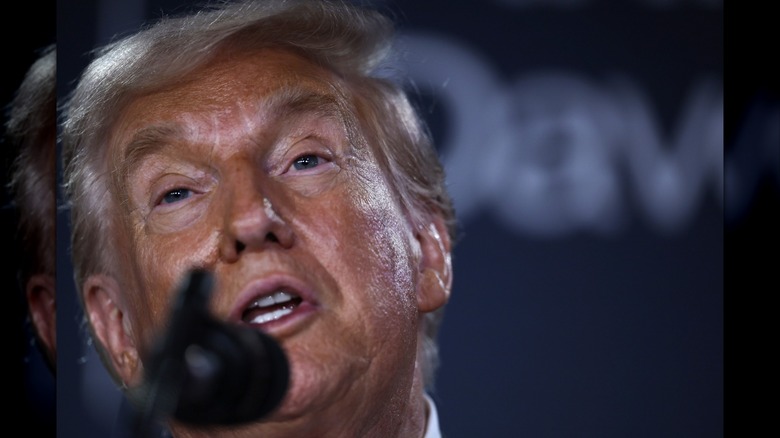 Donald Trump raises his eyebrows while speaking into a microphone in a close-up photo.