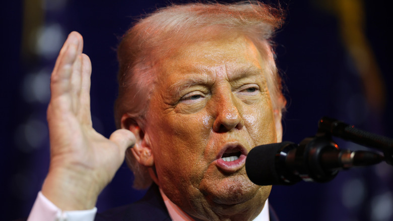 Donald Trump raises his hand and speaks into a microphone.