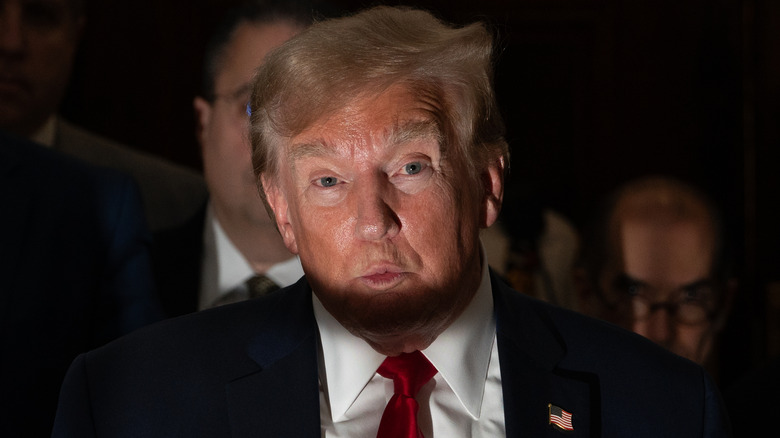 Donald Trump puckers his lips and raises his eyebrows as a shadow obscures his chin.