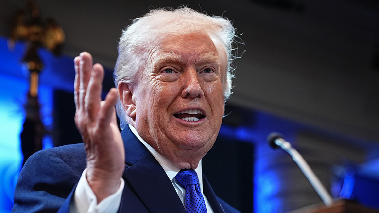 Donald Trump raises his hand as he speaks into a microphone.