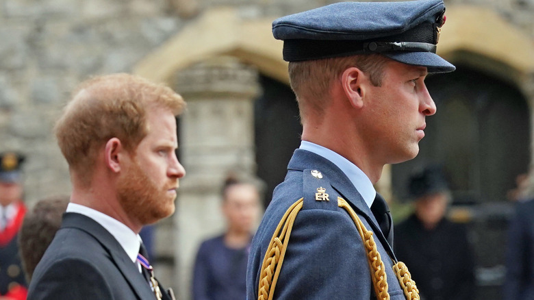 Prince William and Prince Harry at the Queen's funeral