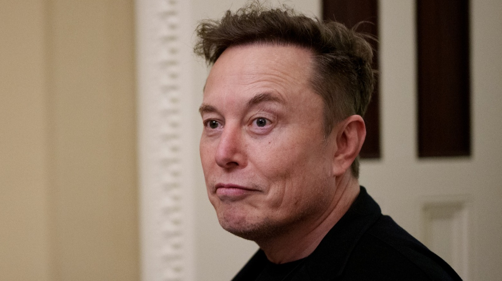 Vivian Wilson Hits Elon Musk Where It Hurts With Scathing Diss About