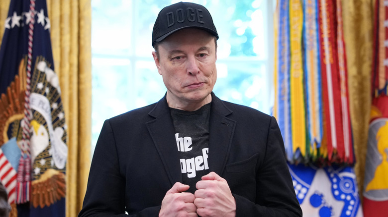 Elon Musk standing in the Oval Office in a DOGE hat gurning