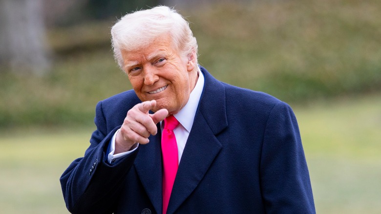 Donald Trump pointing