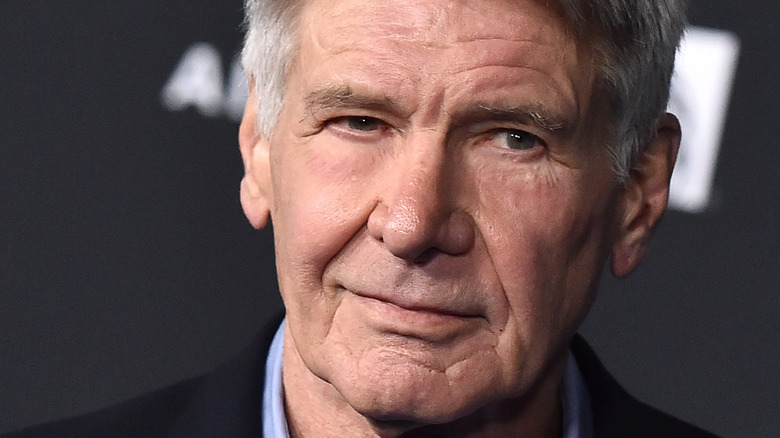 Harrison Ford smiles wryly