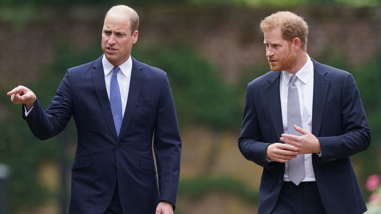 Princes William and Harry