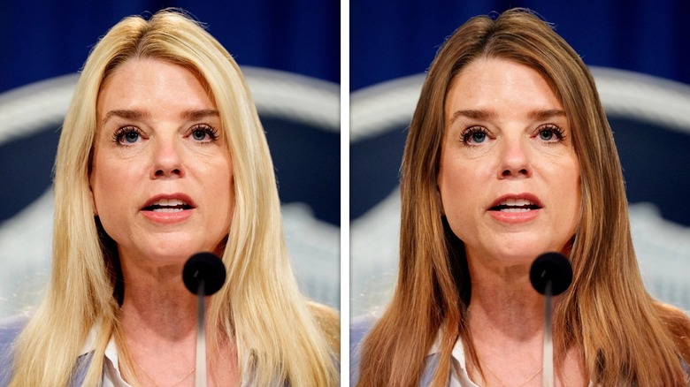 Side-by-side photos of Pam Bondi with blonde and brunette hair