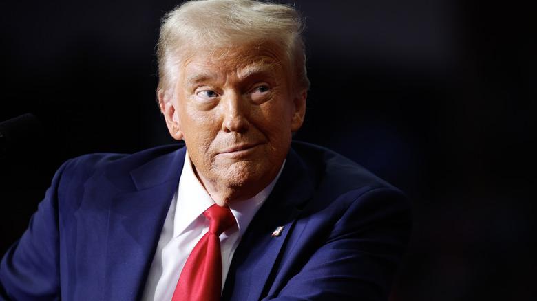 Donald Trump looking lifting one eyebrow