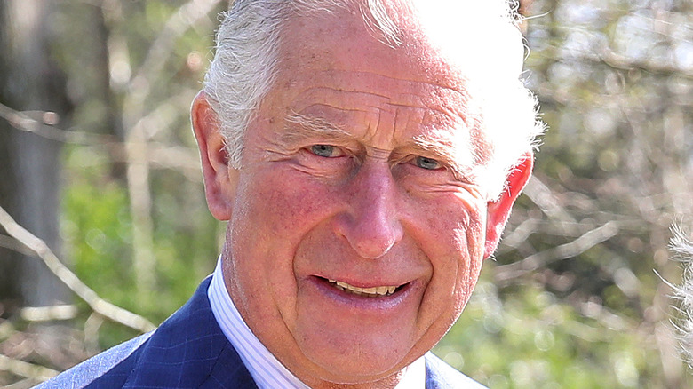 Prince Charles smiling