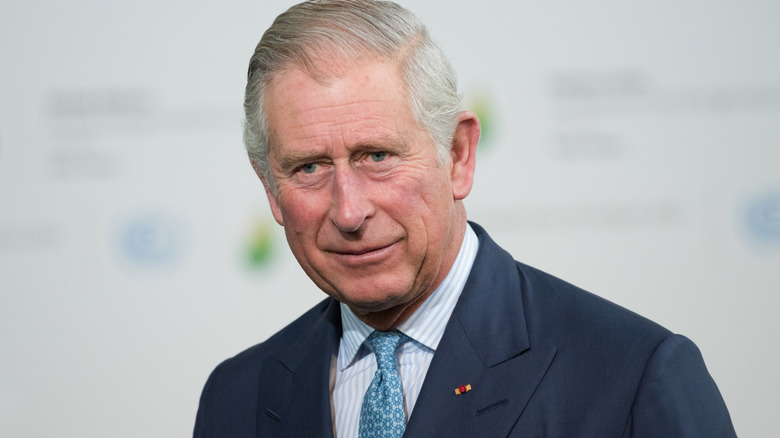 King Charles posing