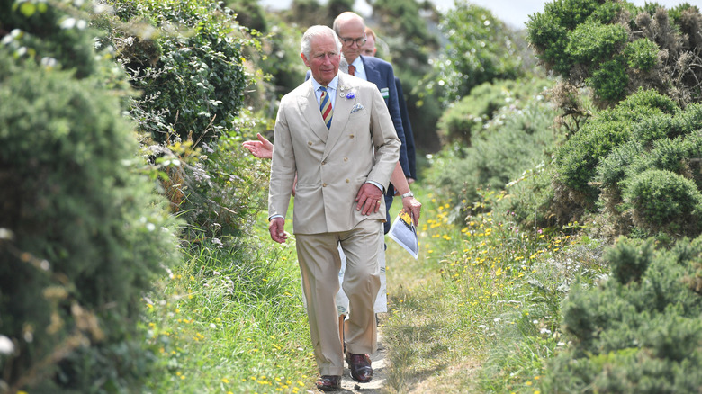 King Charles walking